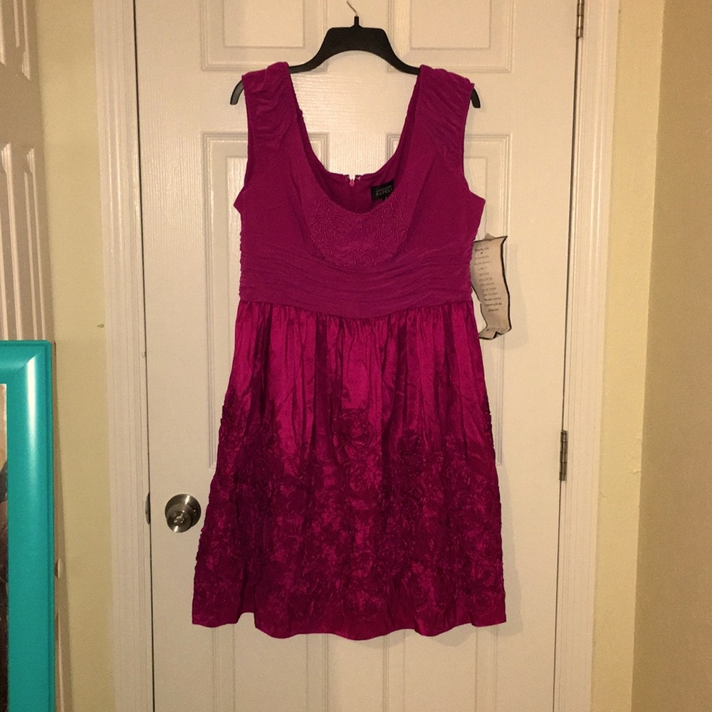 Adrianna Papell Magenta Dress